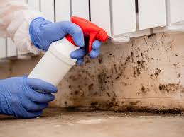 Best Mold Removal for HVAC Installations in Sunbury, PA